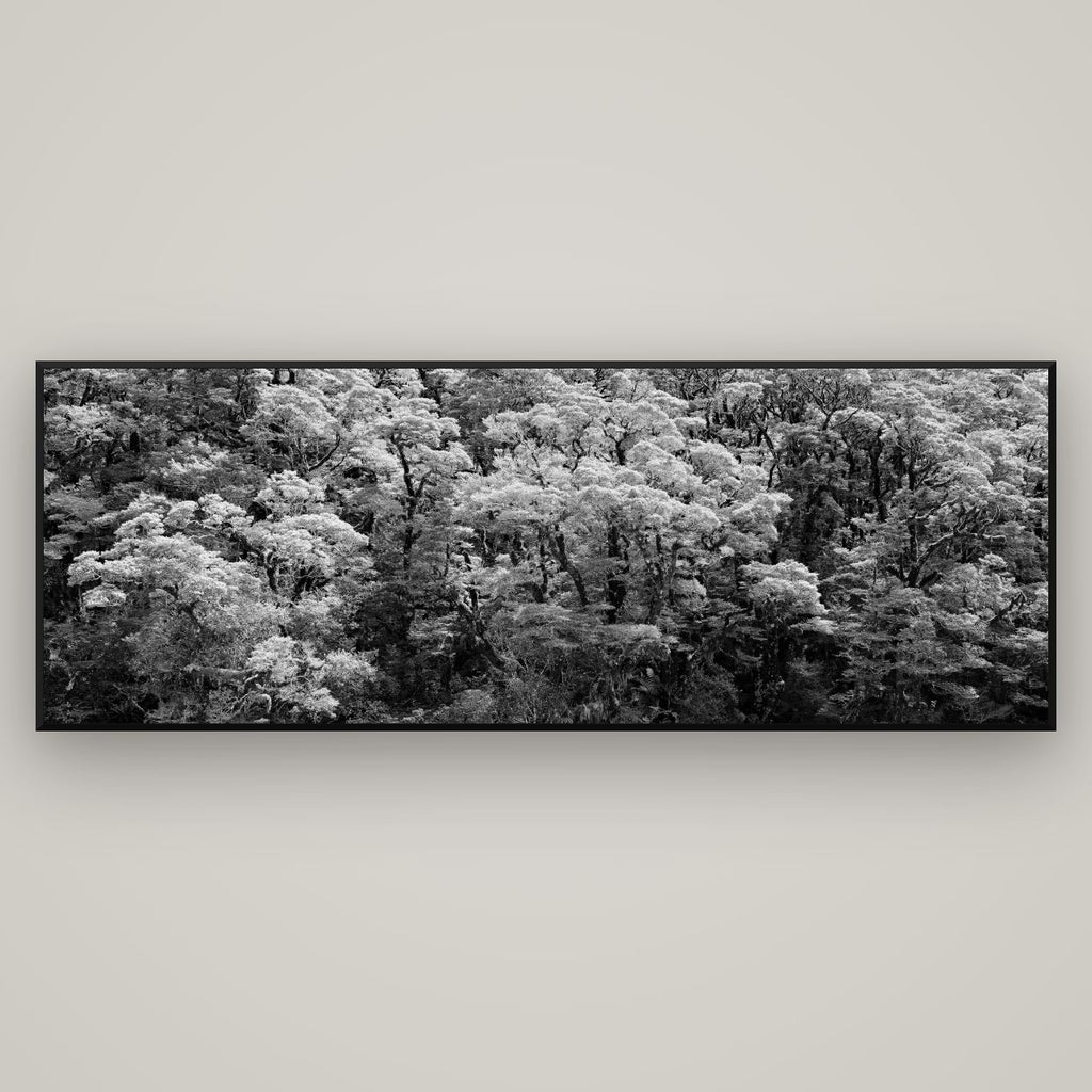 Rainforest Reverie, Fiordland — Basel Black Matte, 198×70 cm. New Zealand fine art wall art by Stephen Milner.