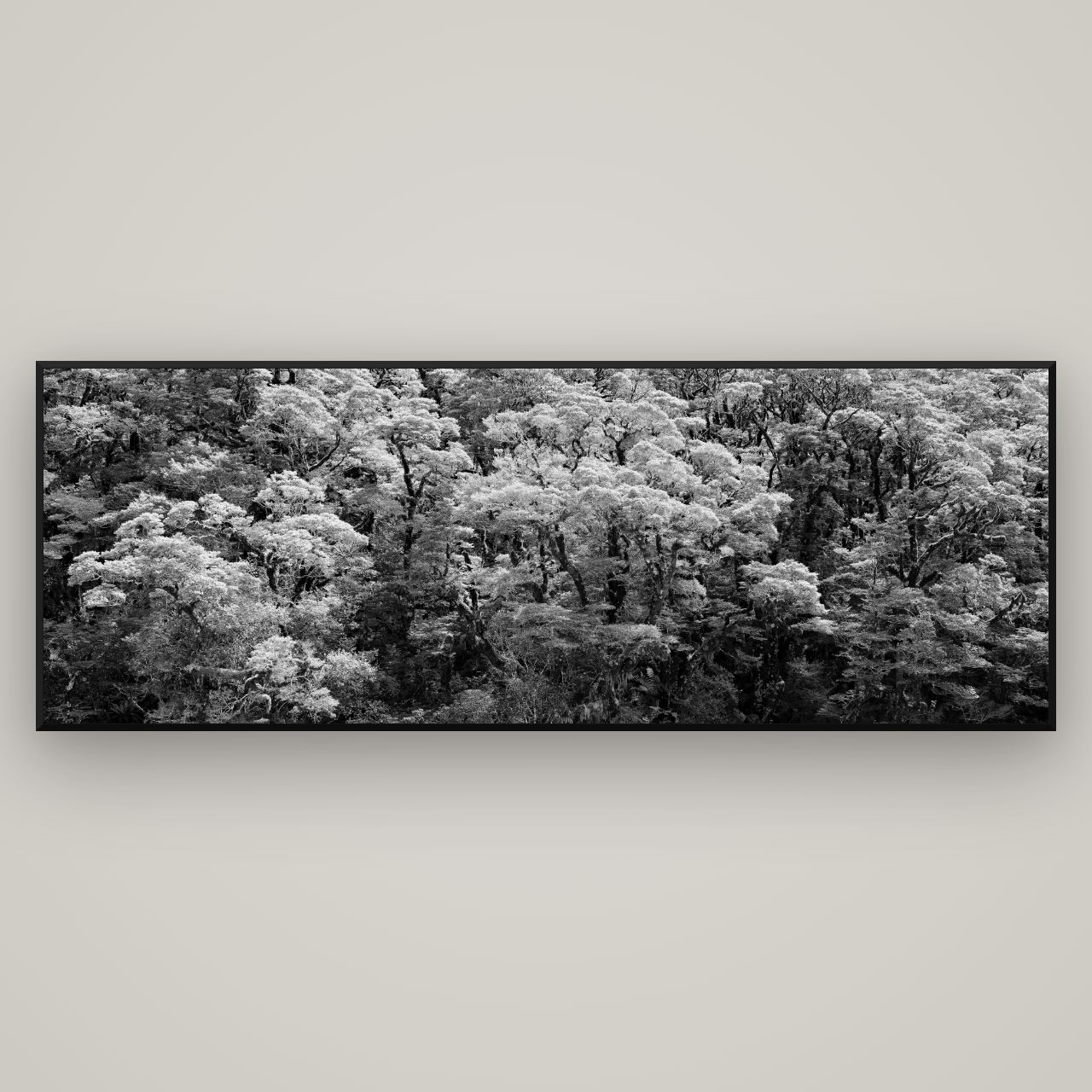 Rainforest Reverie, Fiordland — Basel Black, 198×70 cm. New Zealand fine art wall art by Stephen Milner.