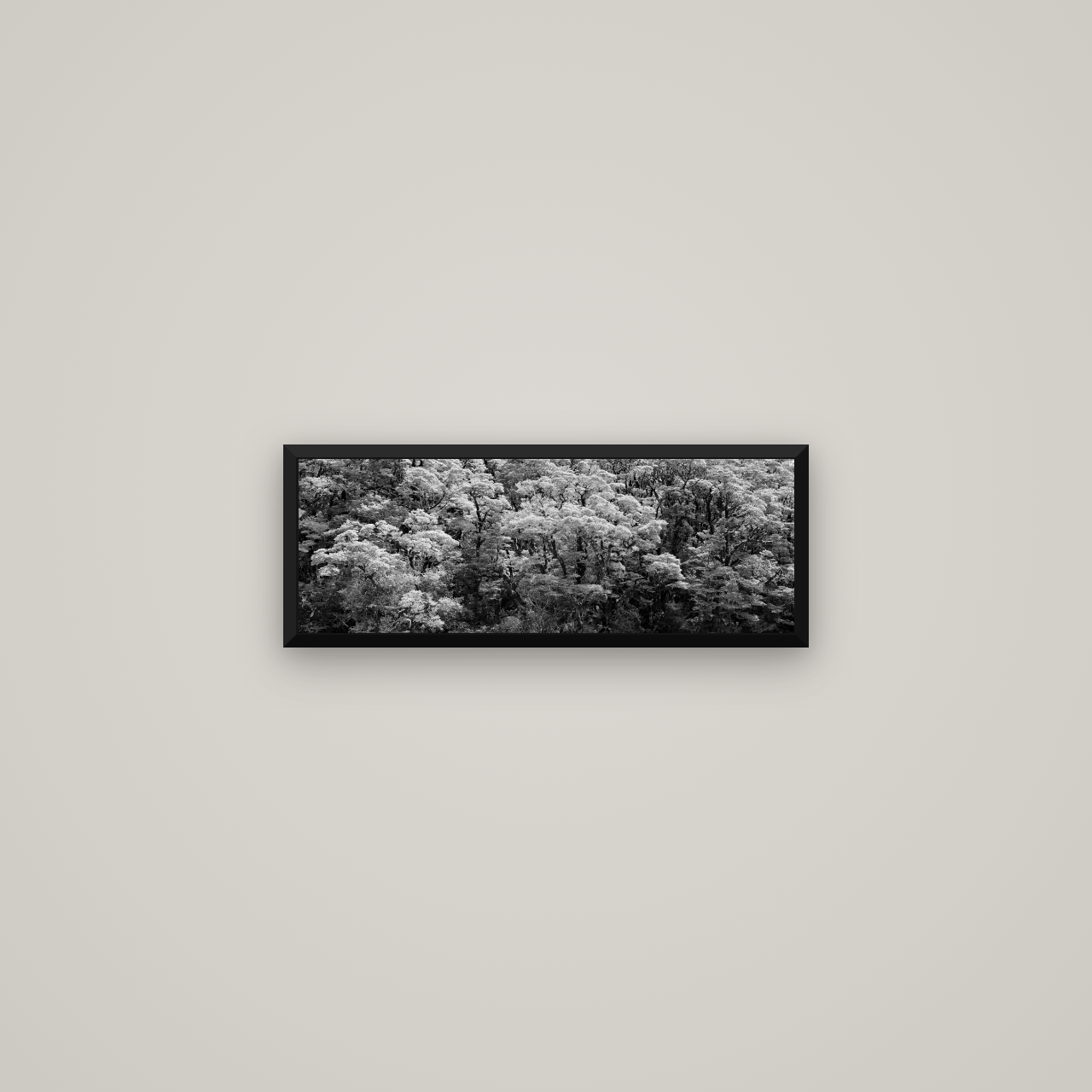 Rainforest Reverie, Fiordland — Basel Black Matte, 57×20 cm. New Zealand fine art wall art by Stephen Milner.