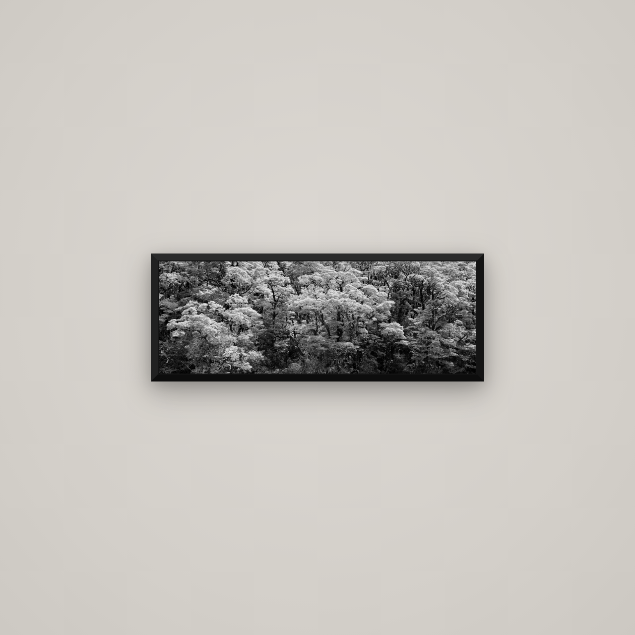 Rainforest Reverie, Fiordland — Basel Black Matte, 68×24 cm. New Zealand fine art wall art by Stephen Milner.
