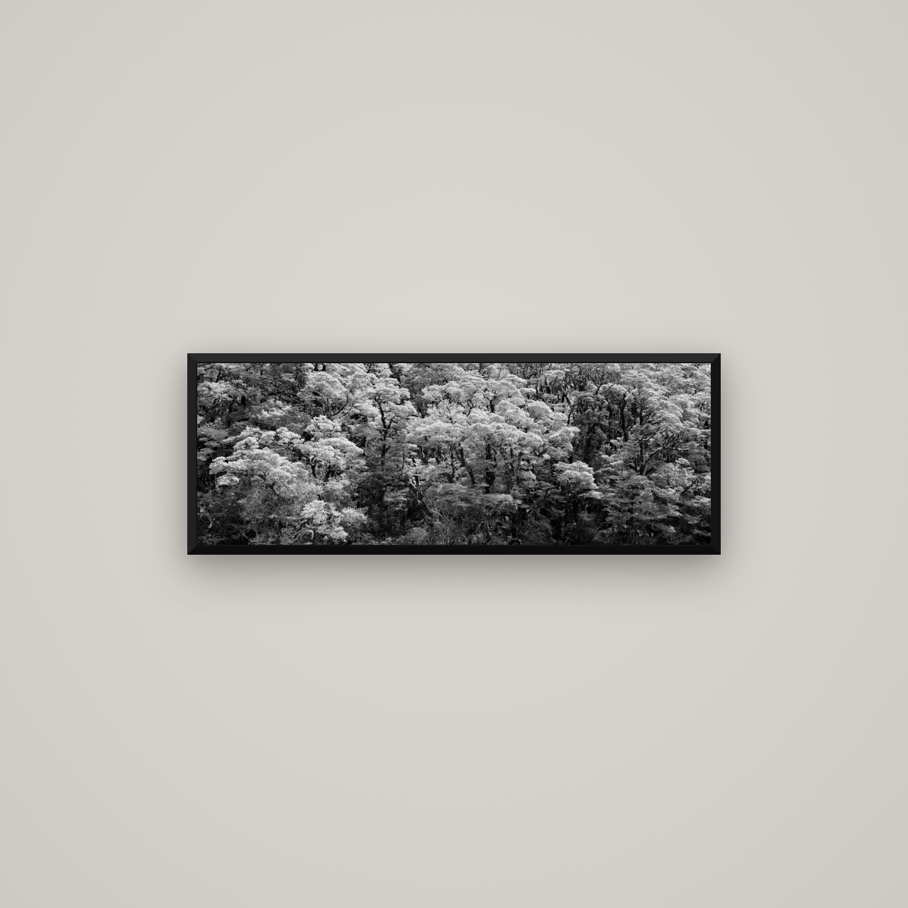 Rainforest Reverie, Fiordland — Basel Black Matte, 85×30 cm. New Zealand fine art wall art by Stephen Milner.