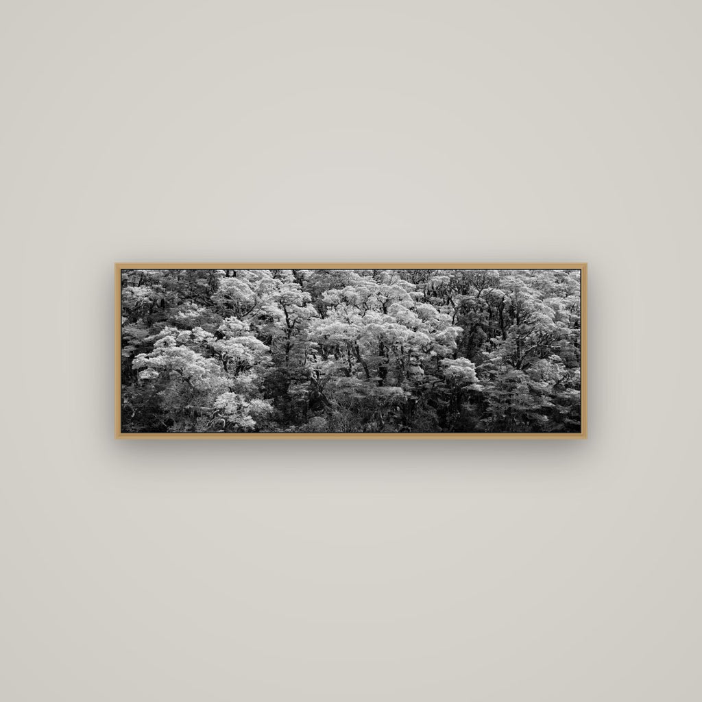 Rainforest Reverie, Fiordland, Basel Natural Oak, 113×40 cm. New Zealand fine art wall art by Stephen Milner.