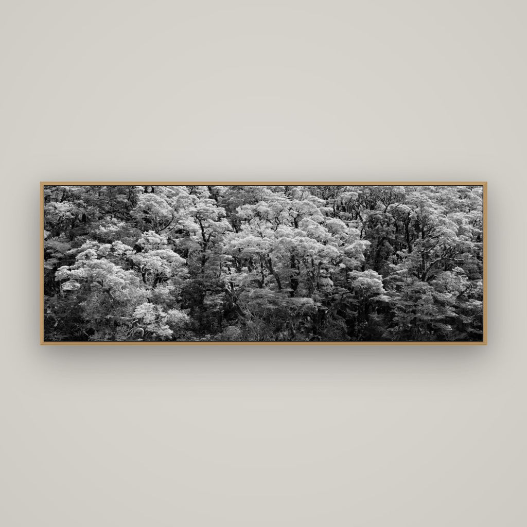 Rainforest Reverie, Fiordland, Basel Natural Oak, 170×60 cm. New Zealand fine art wall art by Stephen Milner.