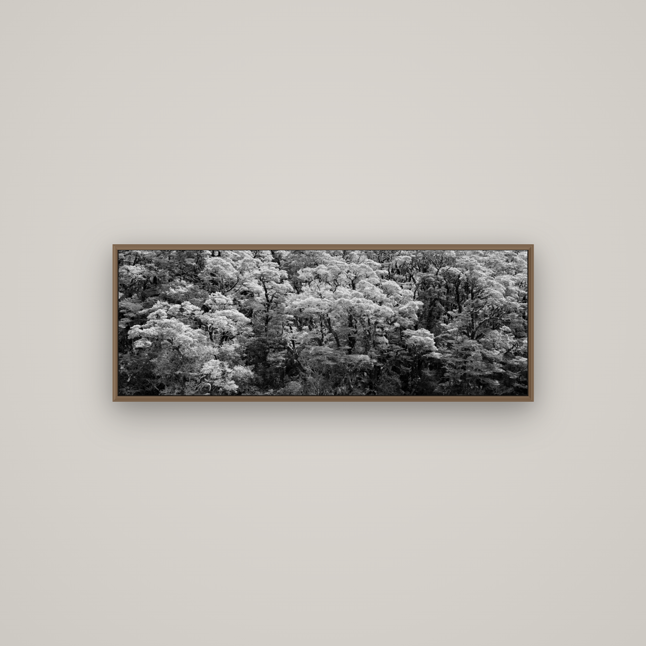 Rainforest Reverie, Fiordland, Basel Walnut, 113×40 cm. New Zealand fine art wall art by Stephen Milner.
