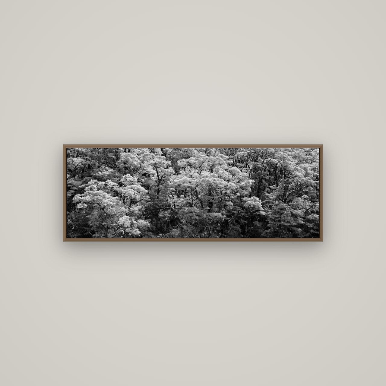 Rainforest Reverie, Fiordland, Basel Walnut, 113×40 cm. New Zealand fine art wall art by Stephen Milner.