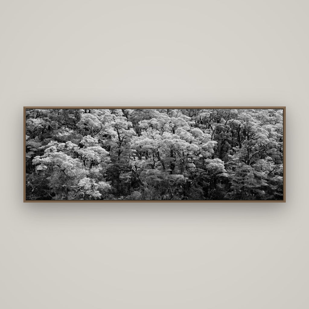 Rainforest Reverie, Fiordland, Basel Walnut, 170×60 cm. New Zealand fine art wall art by Stephen Milner.