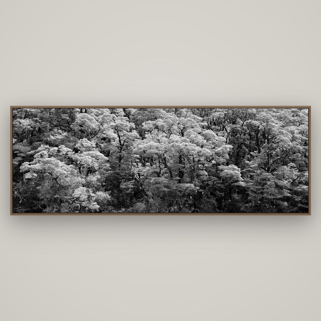 Rainforest Reverie, Fiordland, Basel Walnut, 198×70 cm. New Zealand fine art wall art by Stephen Milner.