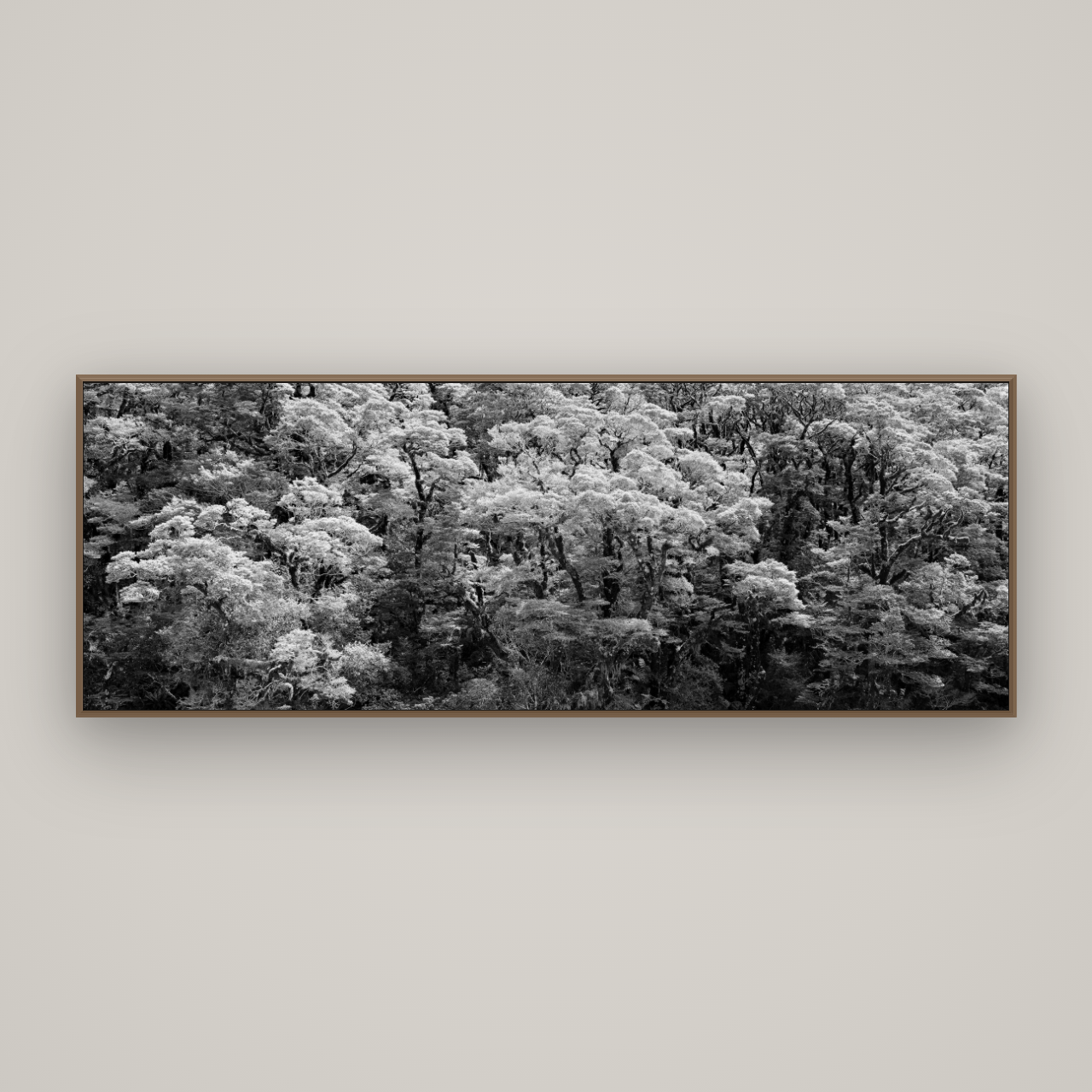 Rainforest Reverie, Fiordland, Basel Walnut, 198×70 cm. New Zealand fine art wall art by Stephen Milner.