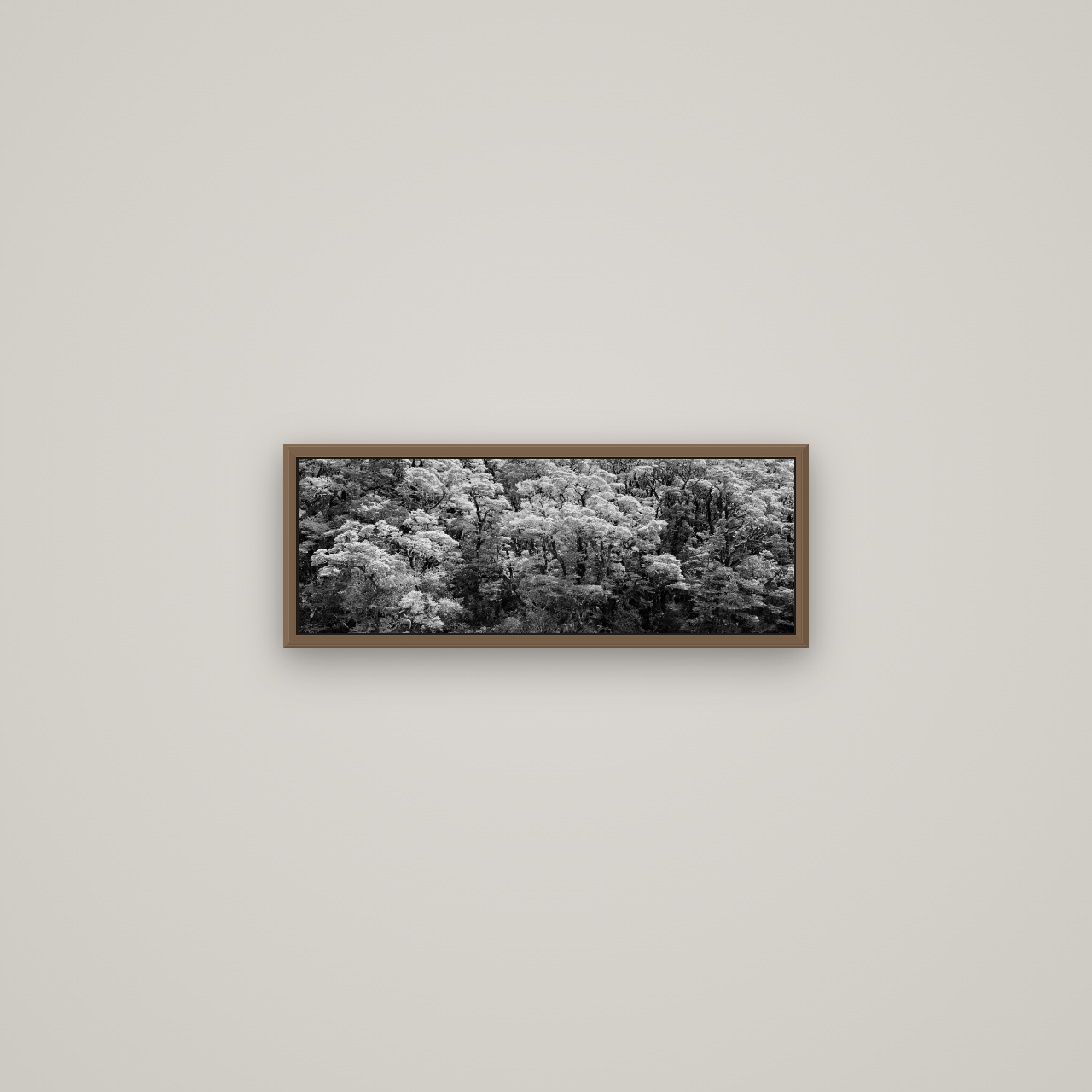 Rainforest Reverie, Fiordland, Basel Walnut, 57×20 cm. New Zealand fine art wall art by Stephen Milner.