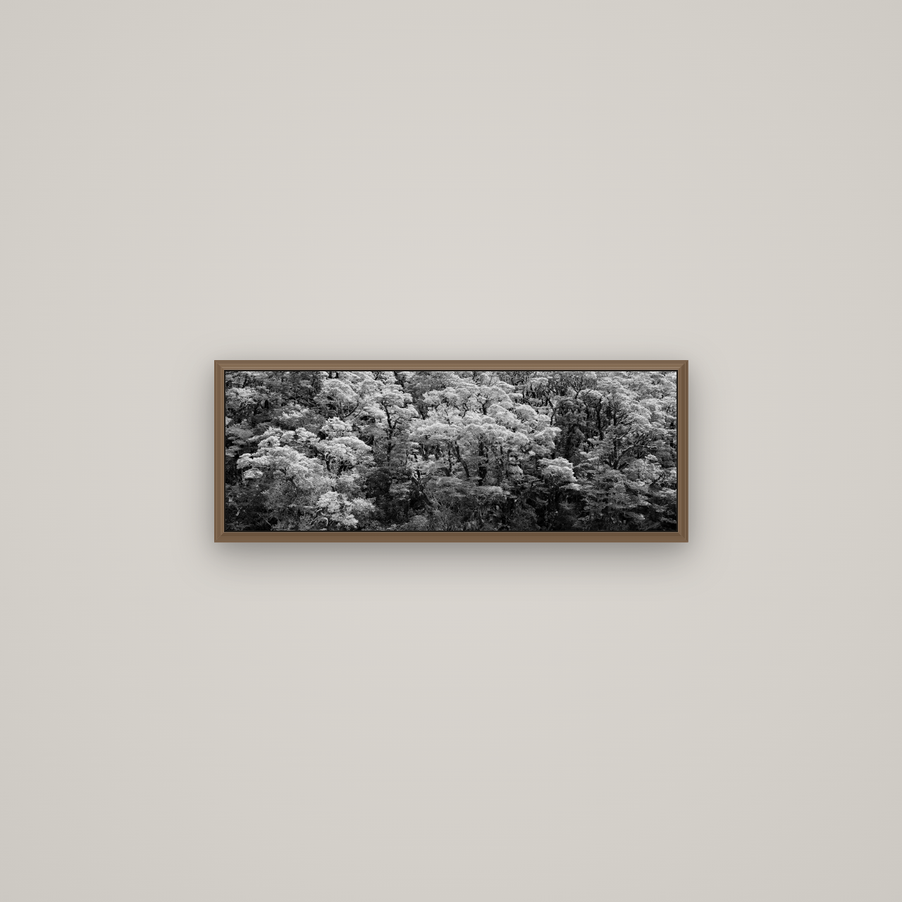 Rainforest Reverie, Fiordland, Basel Walnut, 68×24 cm. New Zealand fine art wall art by Stephen Milner.