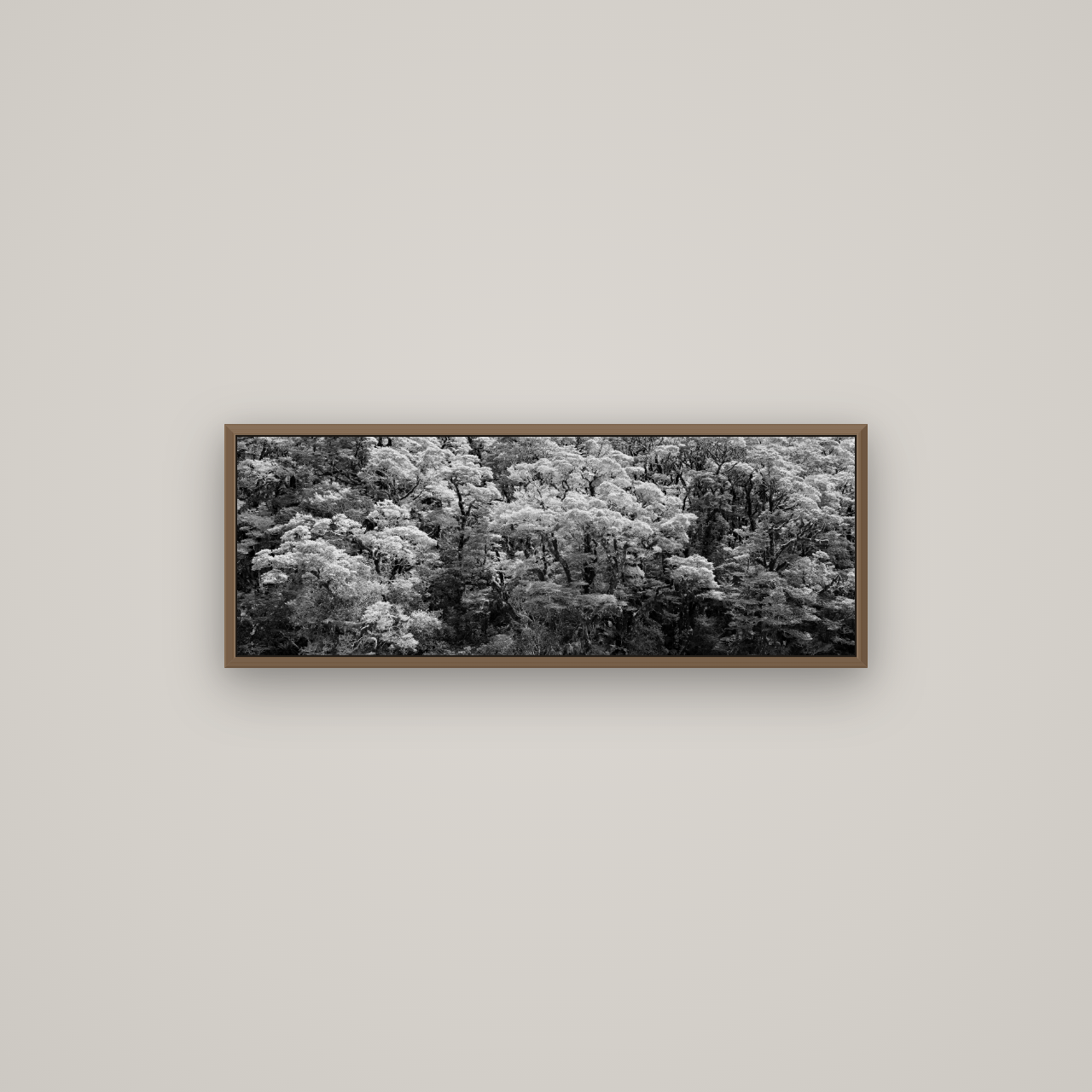 Rainforest Reverie, Fiordland, Basel Walnut, 85×30 cm. New Zealand fine art wall art by Stephen Milner.