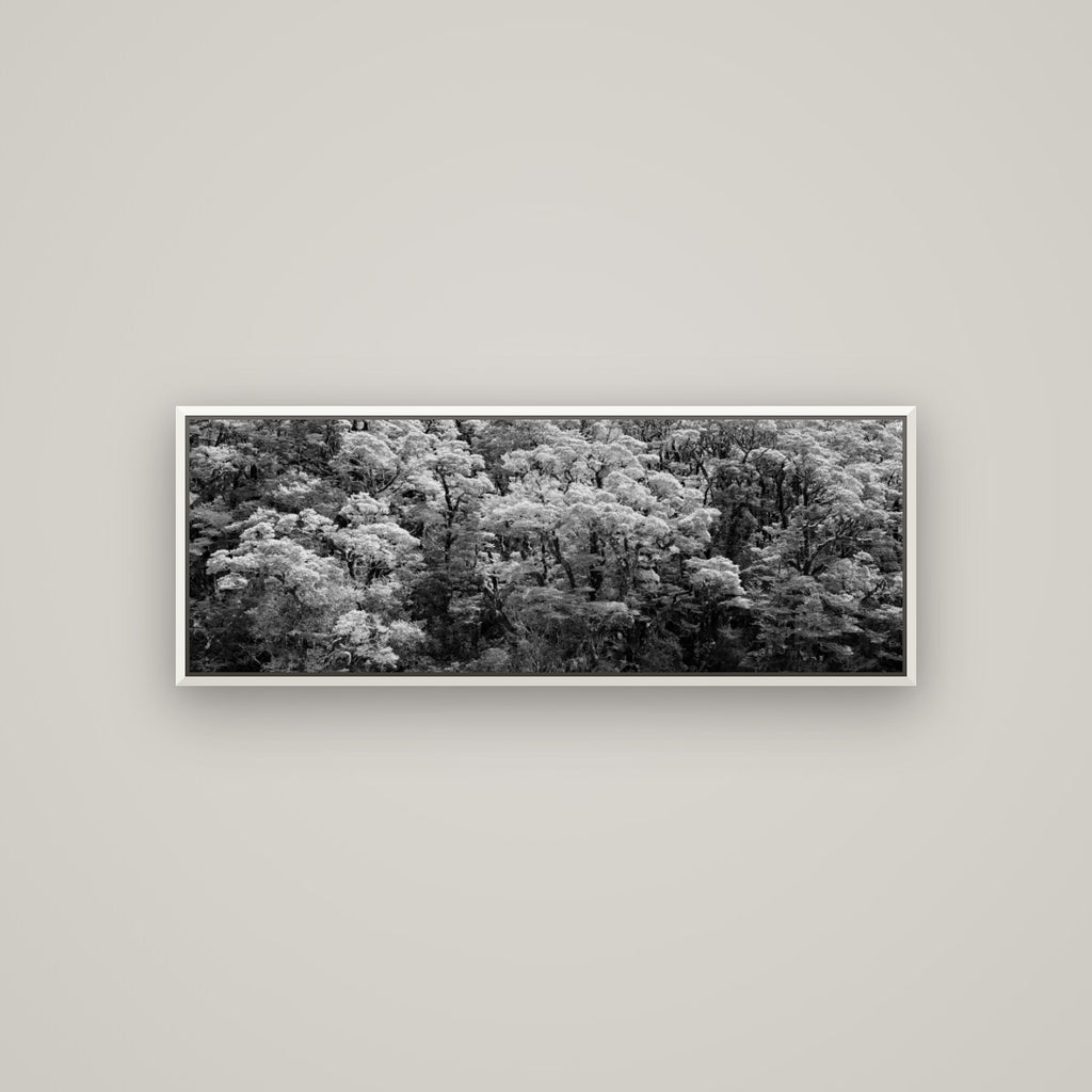 Rainforest Reverie, Fiordland — Basel White, 113×40 cm. New Zealand fine art wall art by Stephen Milner.