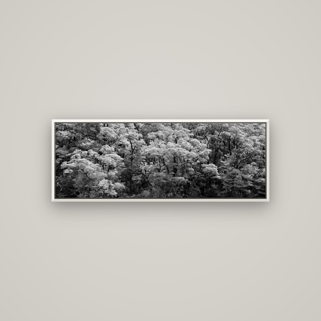 Rainforest Reverie, Fiordland — Basel White, 113×40 cm. New Zealand fine art wall art by Stephen Milner.