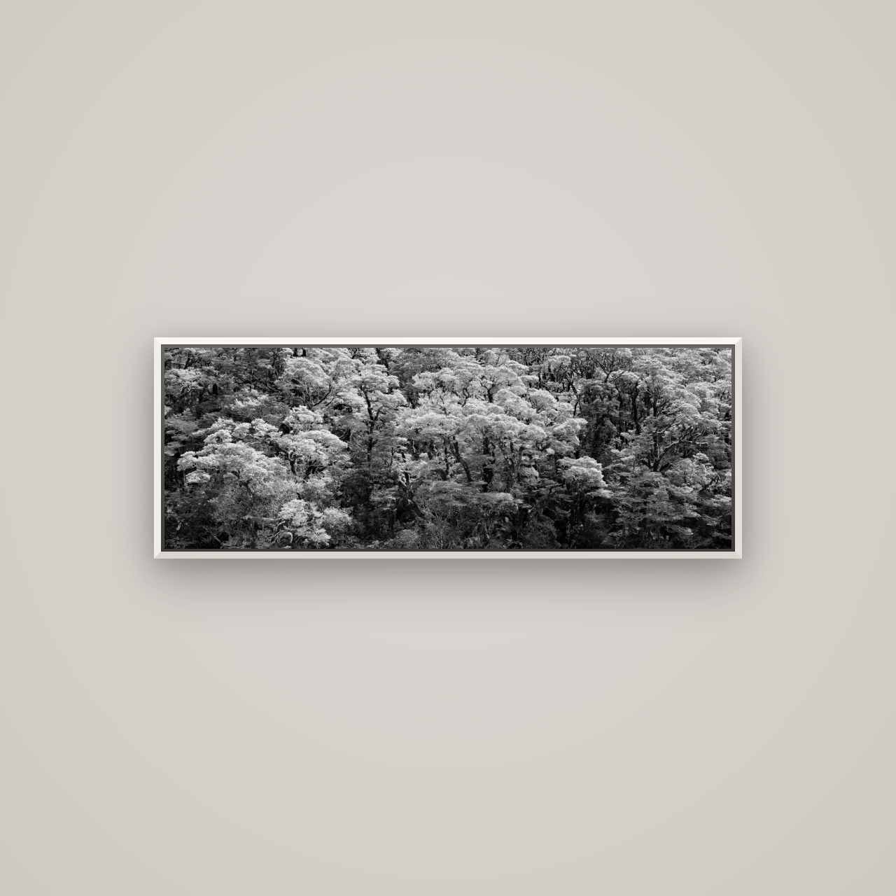 Rainforest Reverie, Fiordland — Basel White, 113×40 cm. New Zealand fine art wall art by Stephen Milner.