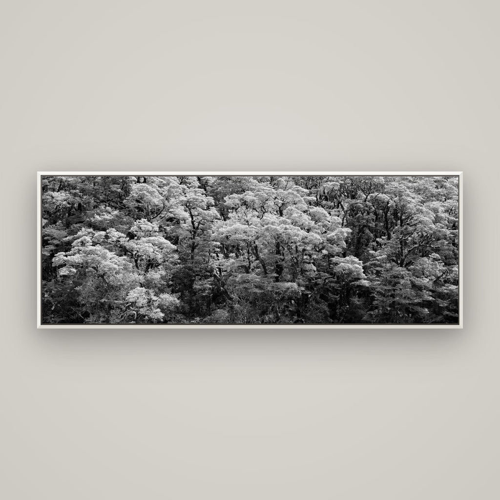 Rainforest Reverie, Fiordland — Basel White, 170×60 cm. New Zealand fine art wall art by Stephen Milner.