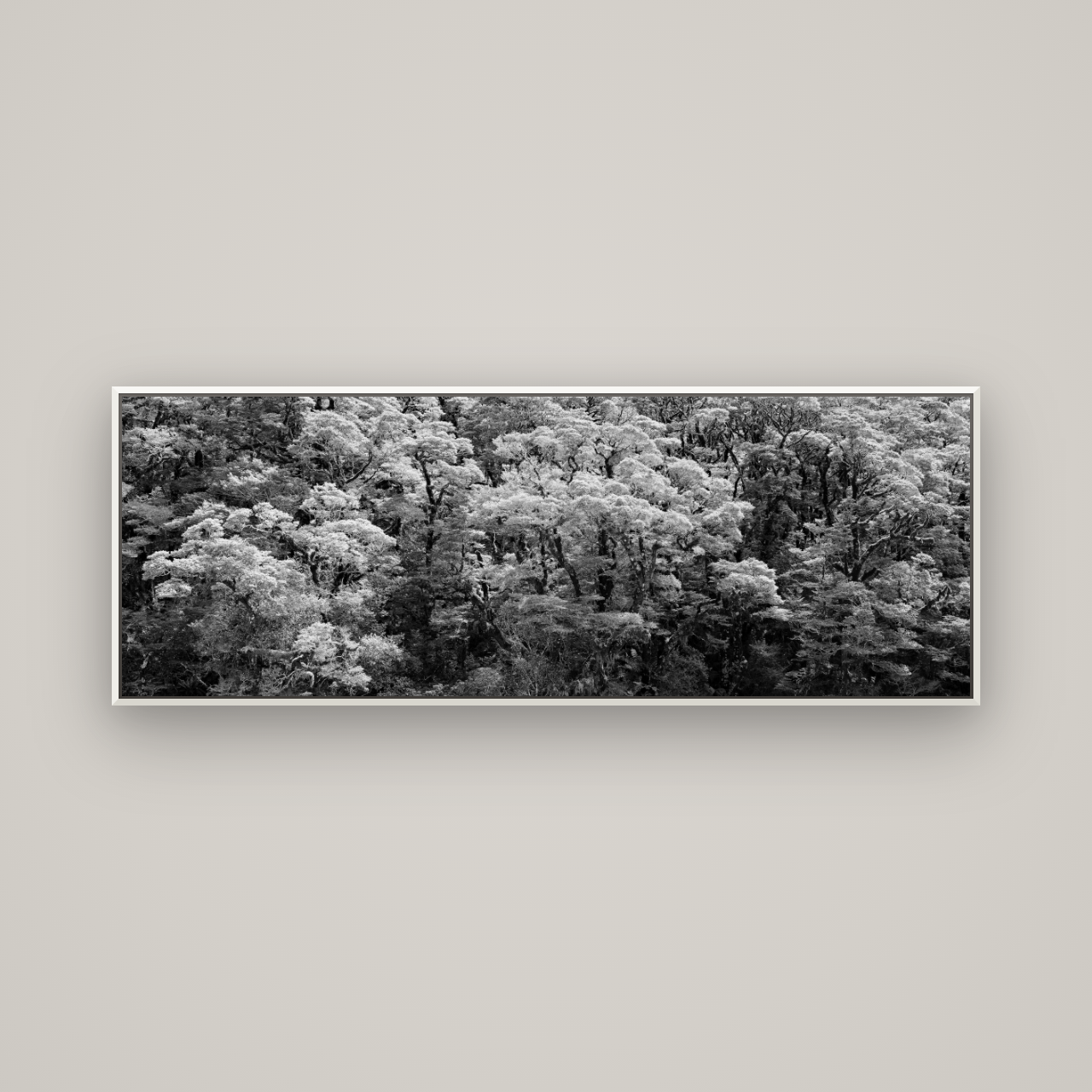 Rainforest Reverie, Fiordland — Basel White, 170×60 cm. New Zealand fine art wall art by Stephen Milner.