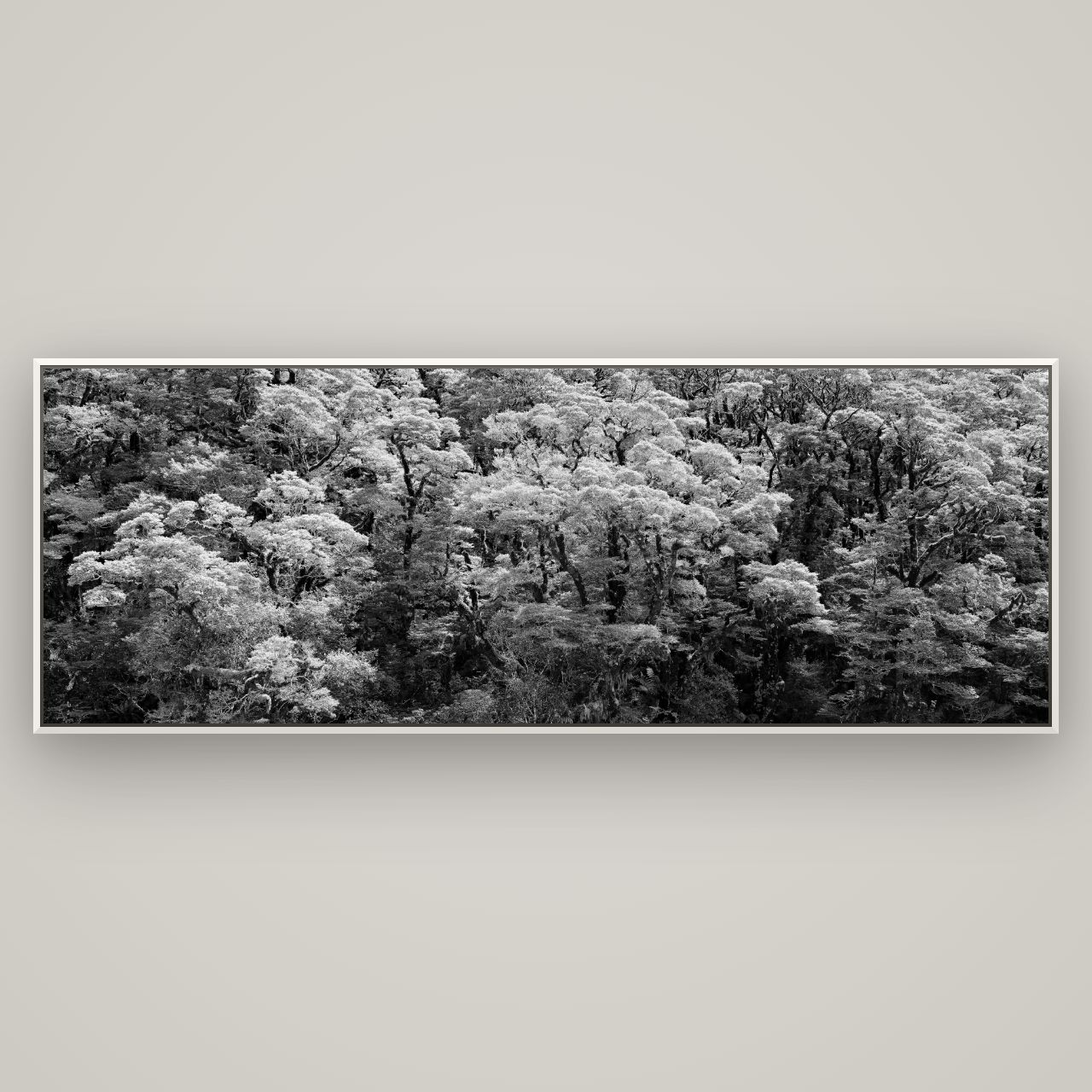 Rainforest Reverie, Fiordland — Basel White, 198×70 cm. New Zealand fine art wall art by Stephen Milner.