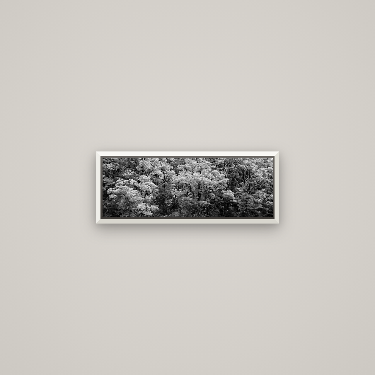Rainforest Reverie, Fiordland — Basel White, 57×20 cm. New Zealand fine art wall art by Stephen Milner.
