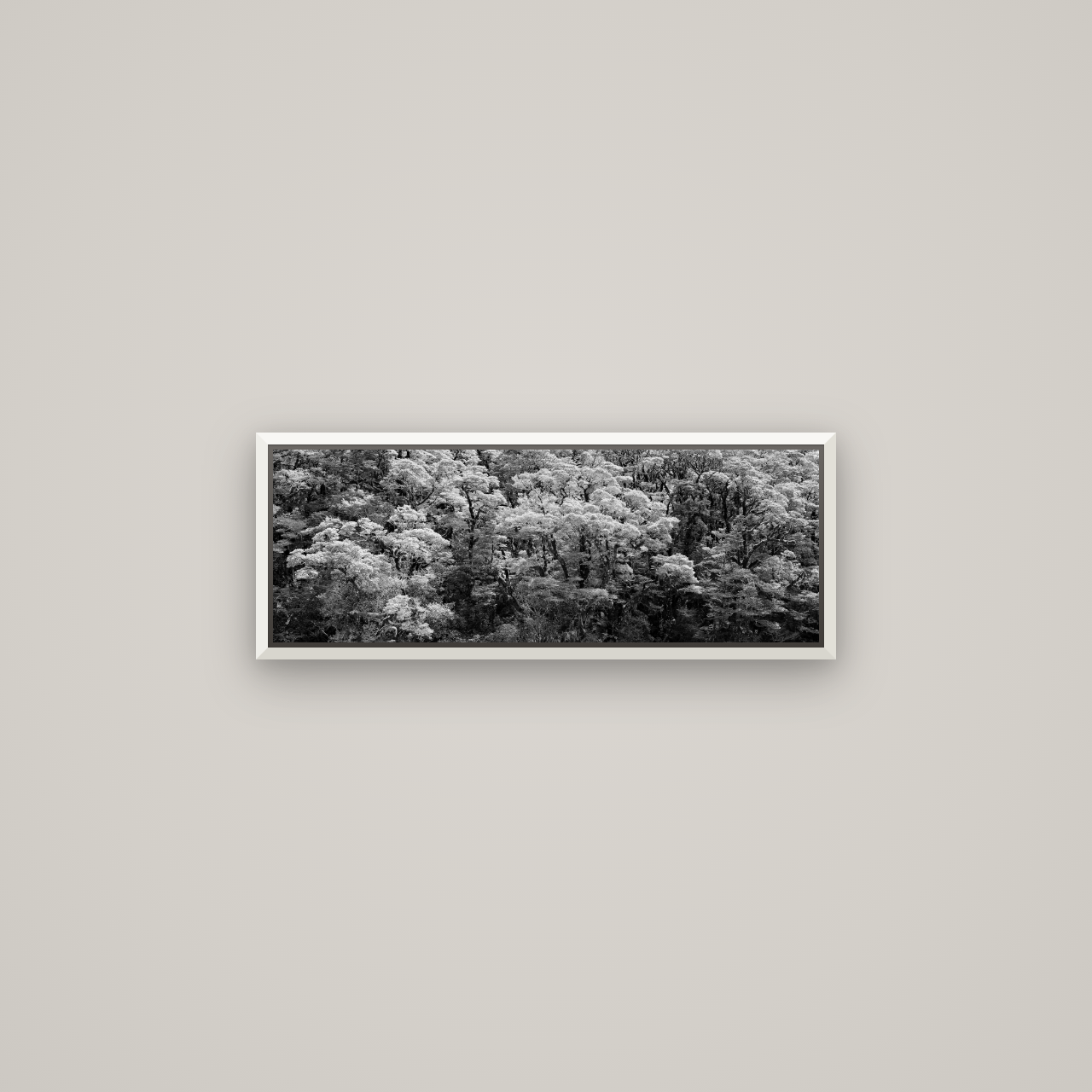 Rainforest Reverie, Fiordland — Basel White, 68×24 cm. New Zealand fine art wall art by Stephen Milner.