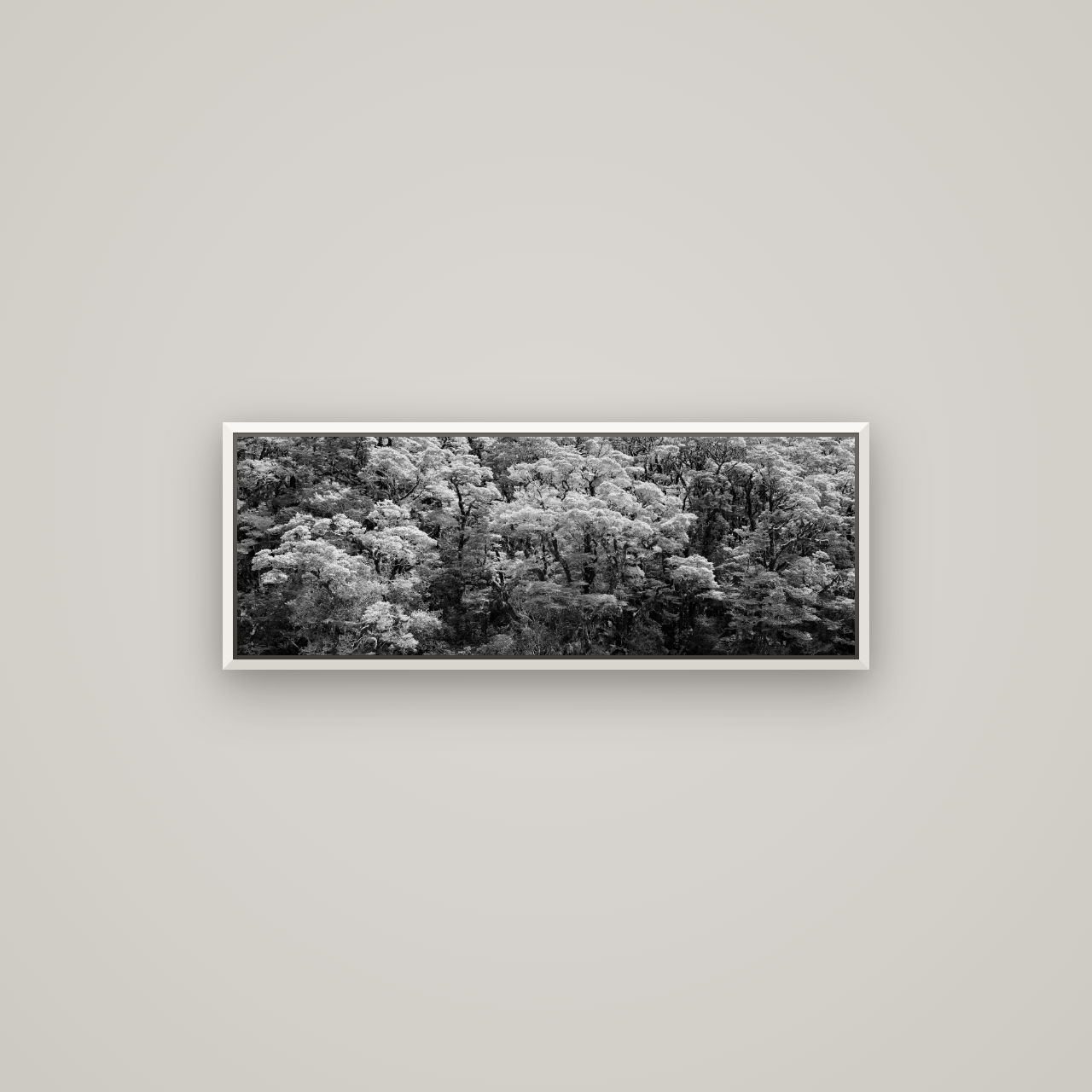 Rainforest Reverie, Fiordland — Basel White, 85×30 cm. New Zealand fine art wall art by Stephen Milner.