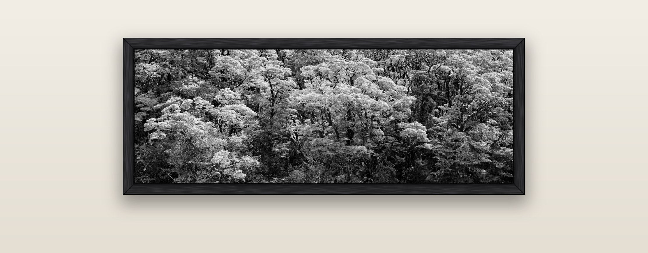 Rainforest Reverie, Fiordland — black float frame framed canvas print. New Zealand fine art landscape wall art by Stephen Milner.
