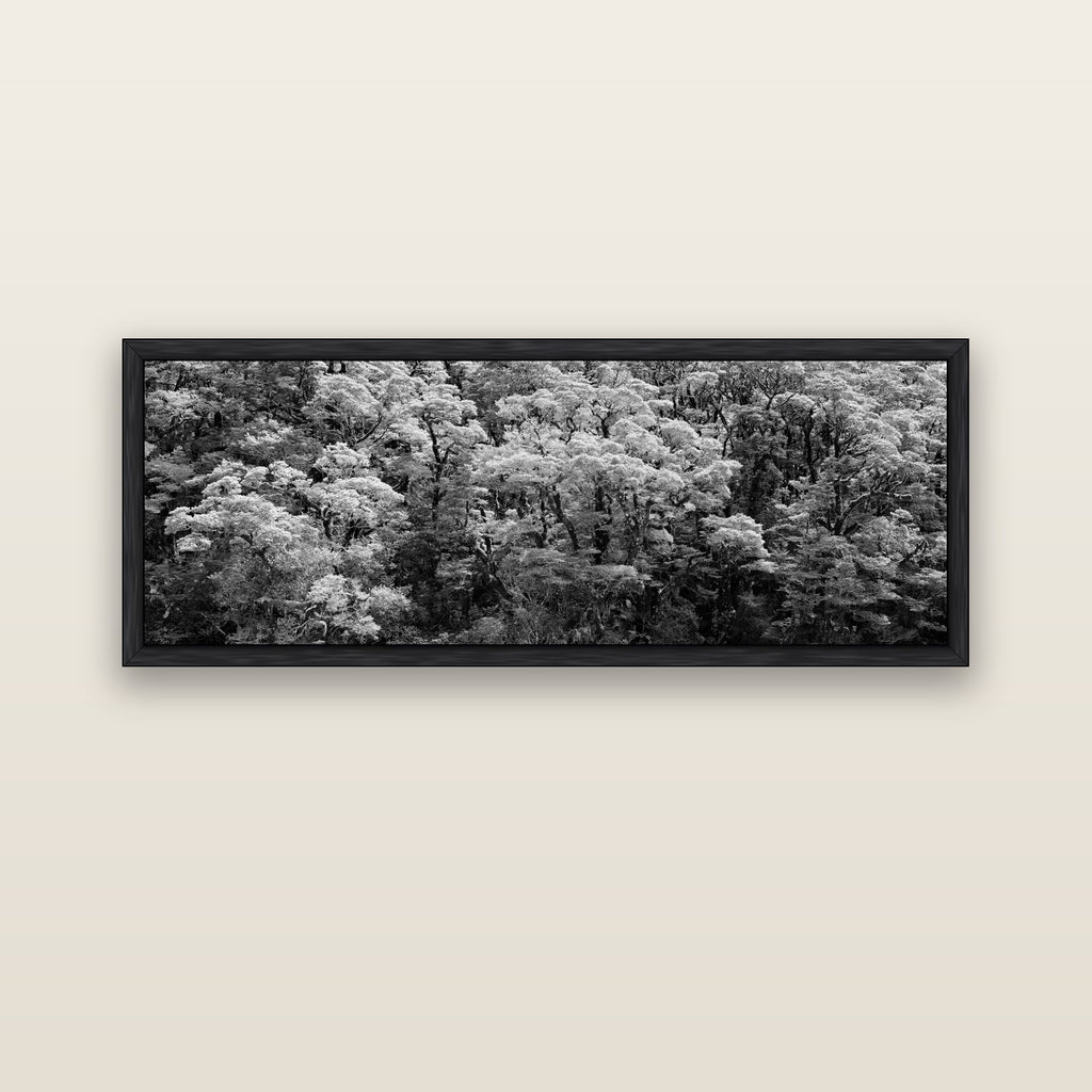 Rainforest Reverie, Fiordland — black float frame canvas, 152 × 56 cm. New Zealand fine art landscape wall art by Stephen Milner.