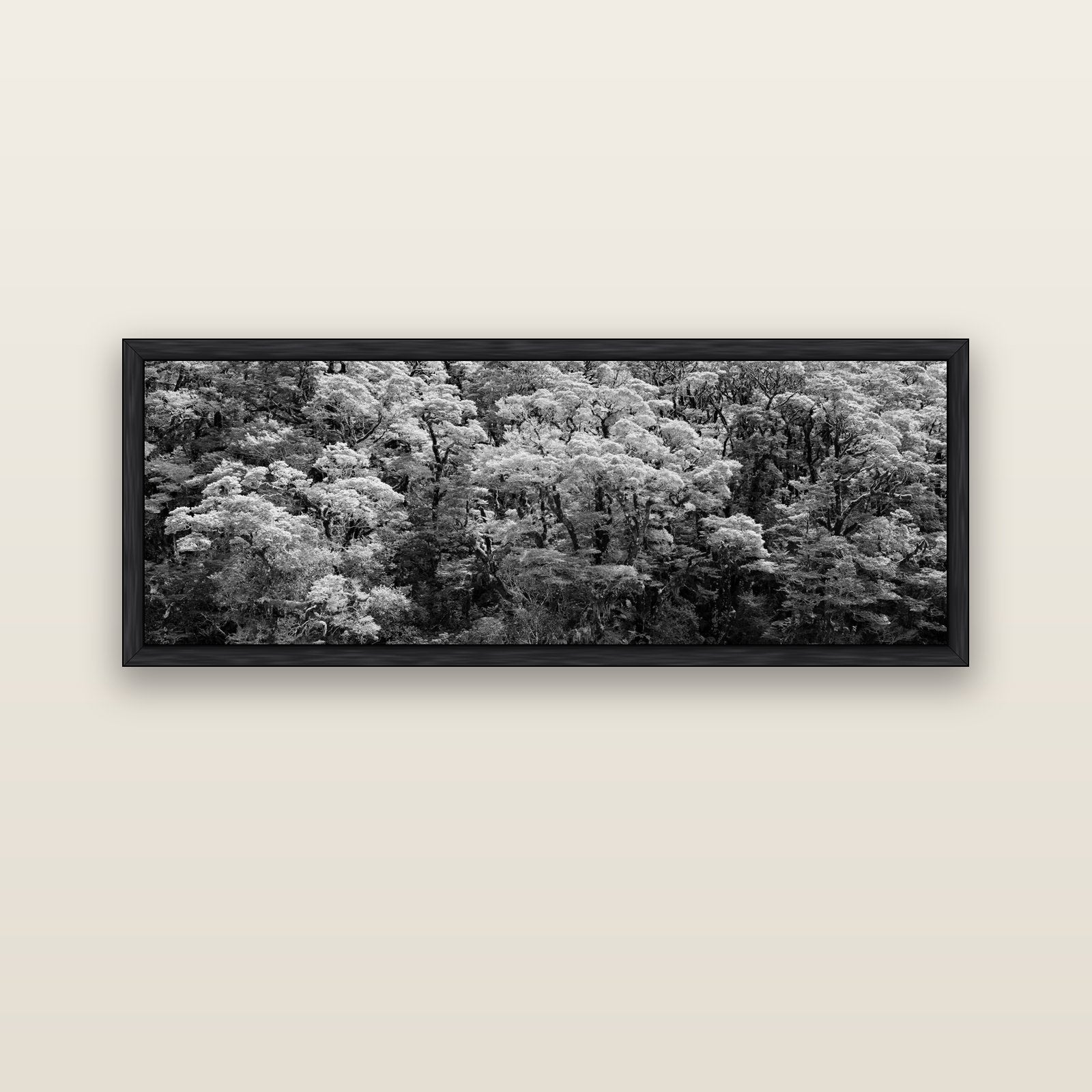 Rainforest Reverie, Fiordland — black float frame canvas, 152 × 56 cm. New Zealand fine art landscape wall art by Stephen Milner.