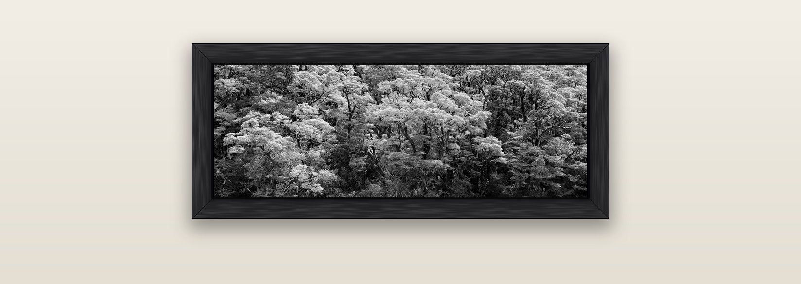 Rainforest Reverie, Fiordland — black float frame canvas, 71 × 25 cm. New Zealand fine art landscape wall art by Stephen Milner.