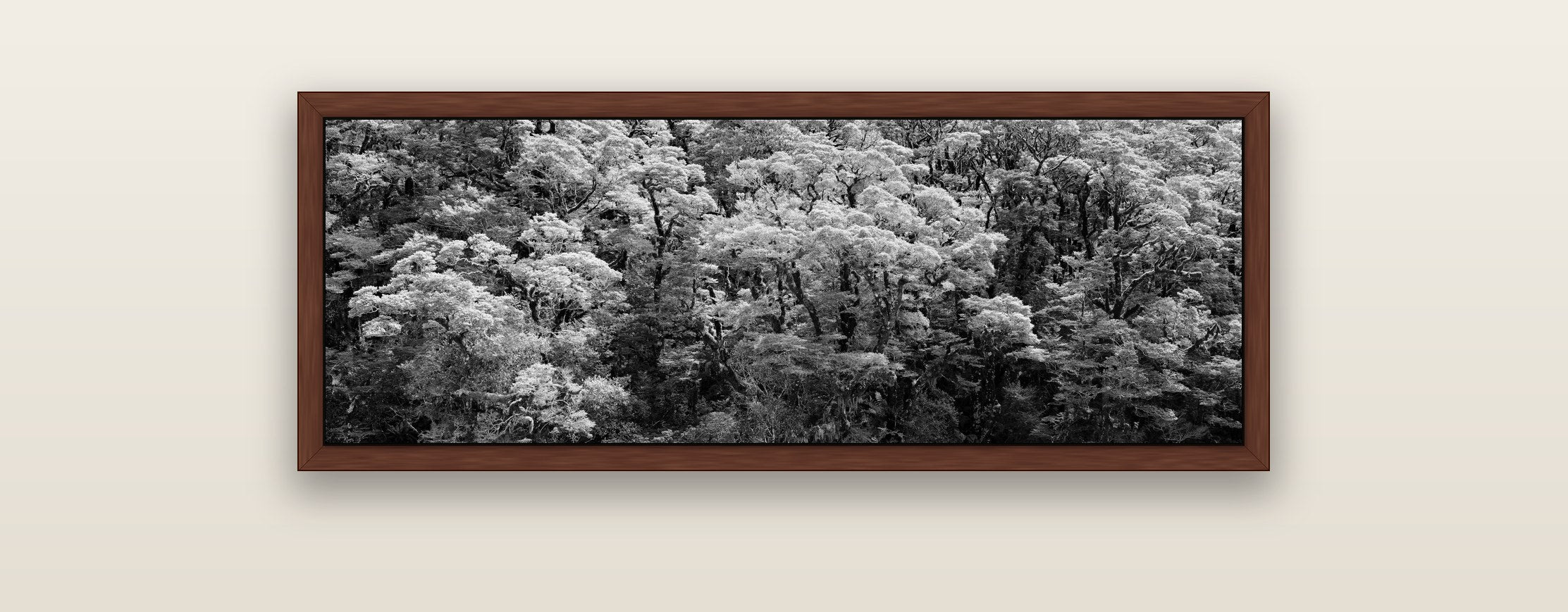 Rainforest Reverie, Fiordland — brown float frame framed canvas print. New Zealand fine art landscape wall art by Stephen Milner.