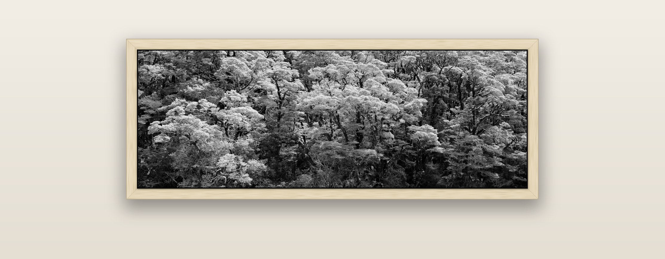 Rainforest Reverie, Fiordland — natural float frame framed canvas print. New Zealand fine art landscape wall art by Stephen Milner.