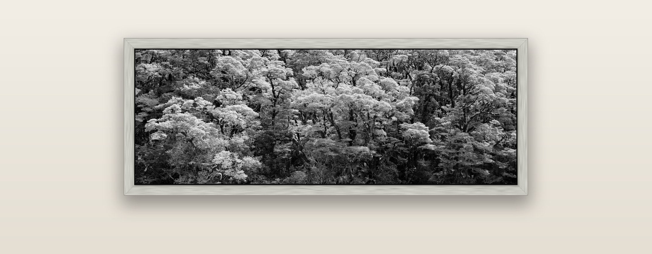 Rainforest Reverie, Fiordland — silver float frame framed canvas print. New Zealand fine art landscape wall art by Stephen Milner.