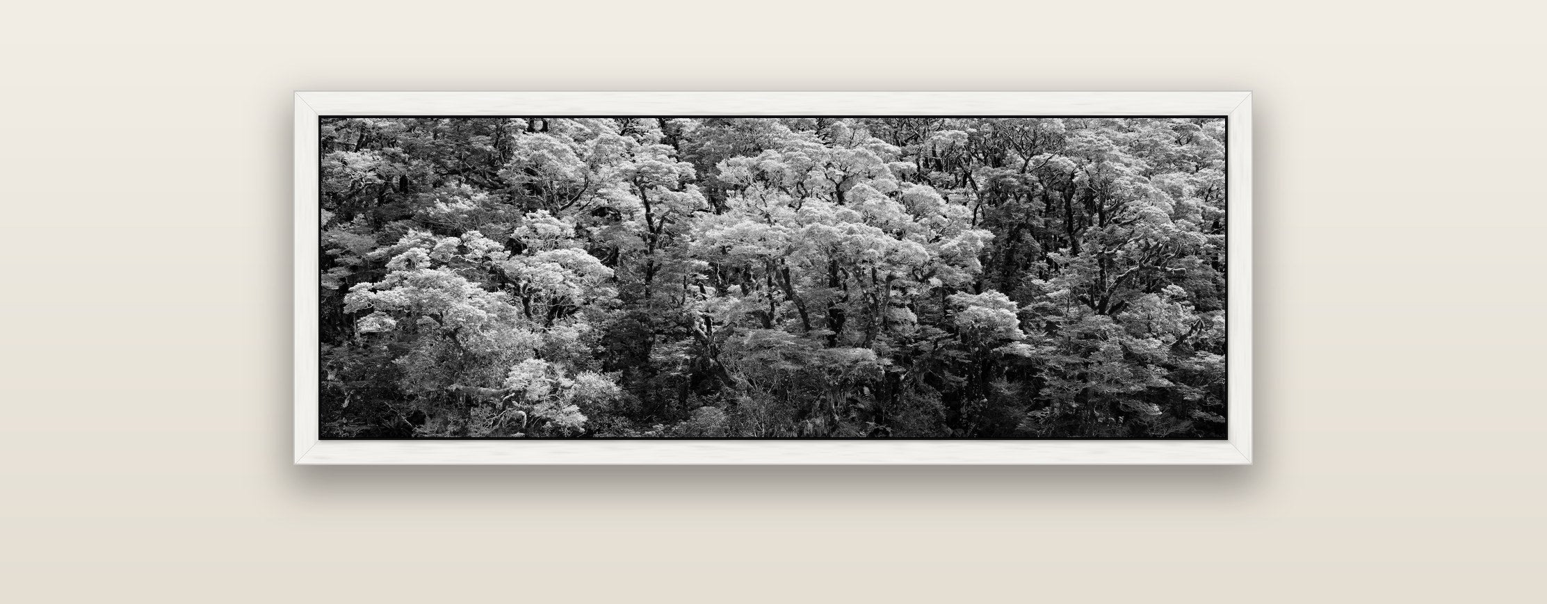 Rainforest Reverie, Fiordland — white float frame framed canvas print. New Zealand fine art landscape wall art by Stephen Milner.