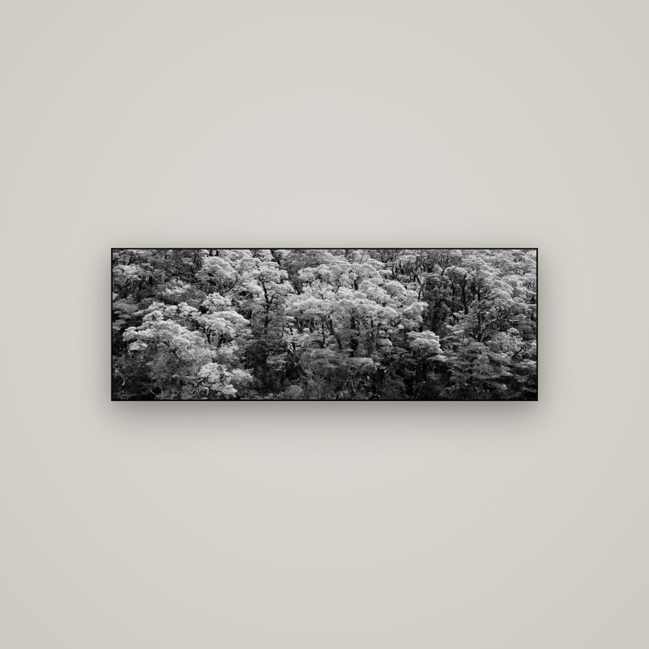 Rainforest Reverie, Fiordland — Slimline Black, 113×40 cm. New Zealand fine art wall art by Stephen Milner.