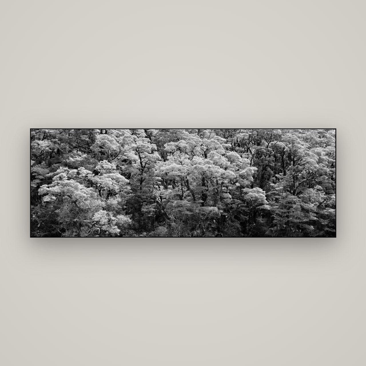 Rainforest Reverie, Fiordland — Slimline Black, 170×60 cm. New Zealand fine art wall art by Stephen Milner.