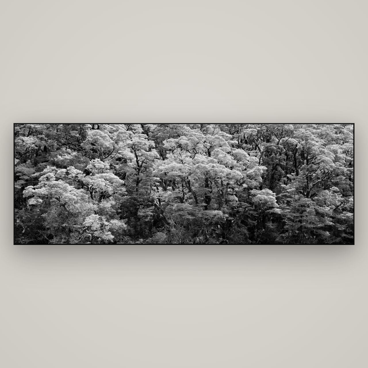 Rainforest Reverie, Fiordland — Slimline Black, 198×70 cm. New Zealand fine art wall art by Stephen Milner.