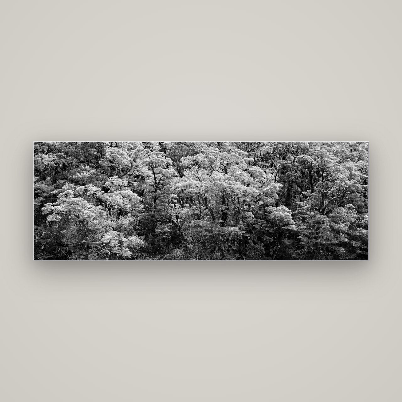 Rainforest Reverie, Fiordland — Slimline Silver, 170×60 cm. New Zealand fine art wall art by Stephen Milner.