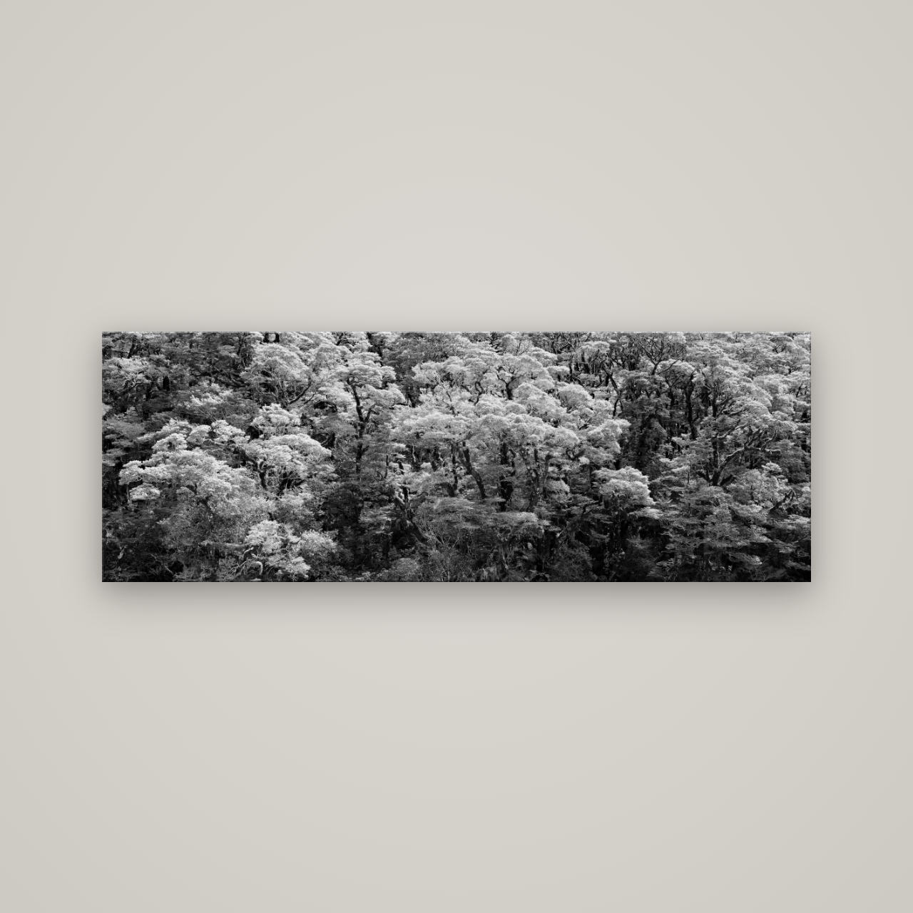 Rainforest Reverie, Fiordland — No frame, 170×60 cm. New Zealand fine art wall art by Stephen Milner.