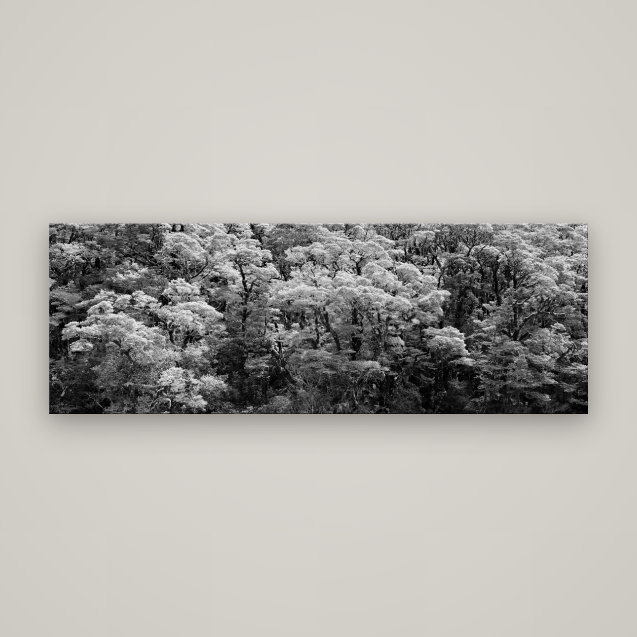 Rainforest Reverie, Fiordland — No frame, 198×70 cm. New Zealand fine art wall art by Stephen Milner.