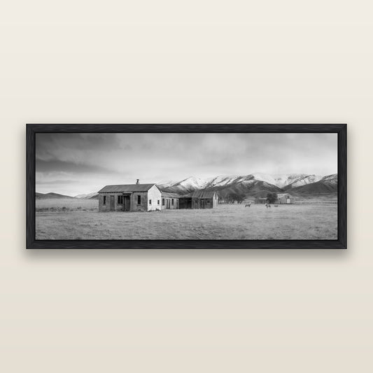 Resilience in Ruin, Echoes of a Forgotten Farm, black and white framed metallic canvas print, Black frame. New Zealand fine art wall art by Stephen Milner.