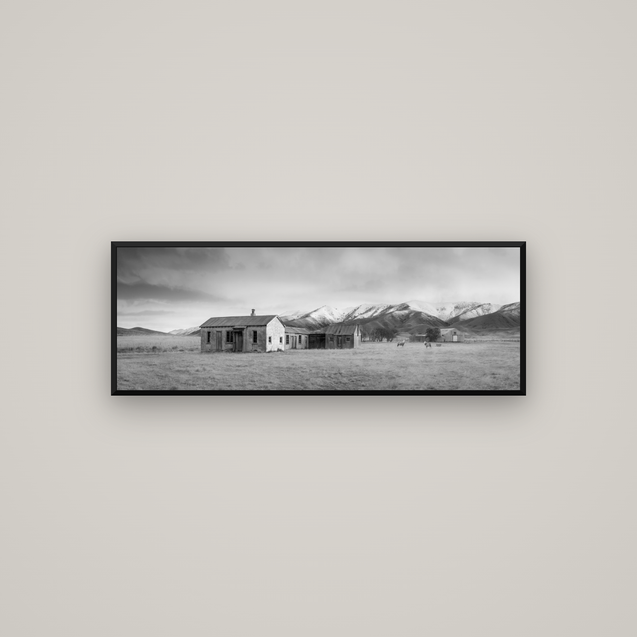 Resilience in Ruin, Echoes of a Forgotten Farm — Basel Black Matte, 113×40 cm. New Zealand fine art wall art by Stephen Milner.
