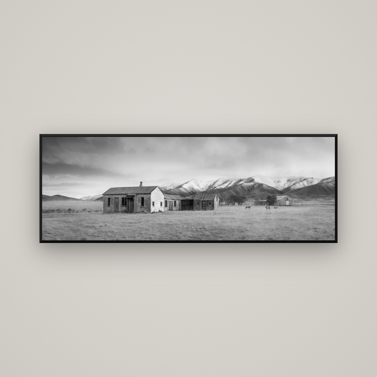 Resilience in Ruin, Echoes of a Forgotten Farm — Basel Black Matte, 170×60 cm. New Zealand fine art wall art by Stephen Milner.