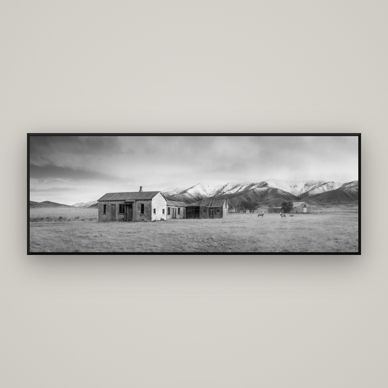 Resilience in Ruin, Echoes of a Forgotten Farm — Basel Black Matte, 198×70 cm. New Zealand fine art wall art by Stephen Milner.