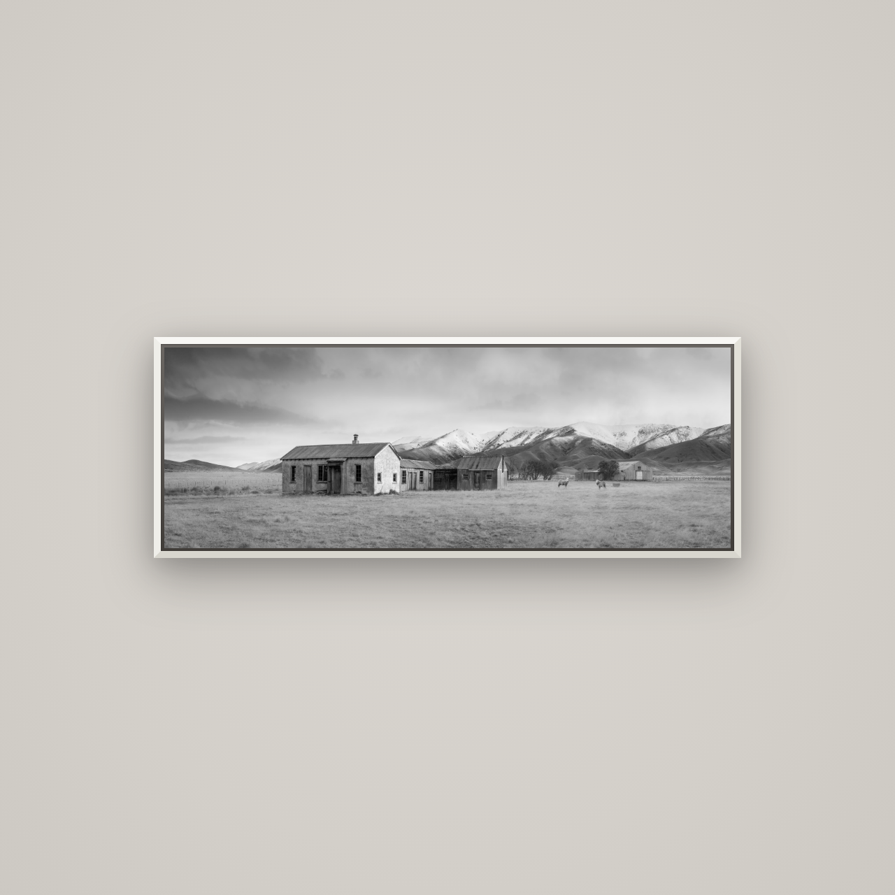 Resilience in Ruin, Echoes of a Forgotten Farm — Basel White, 113×40 cm. New Zealand fine art wall art by Stephen Milner.