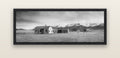 Resilience in Ruin, Echoes of a Forgotten Farm — black float frame canvas, 152 × 56 cm. New Zealand fine art landscape wall art by Stephen Milner.