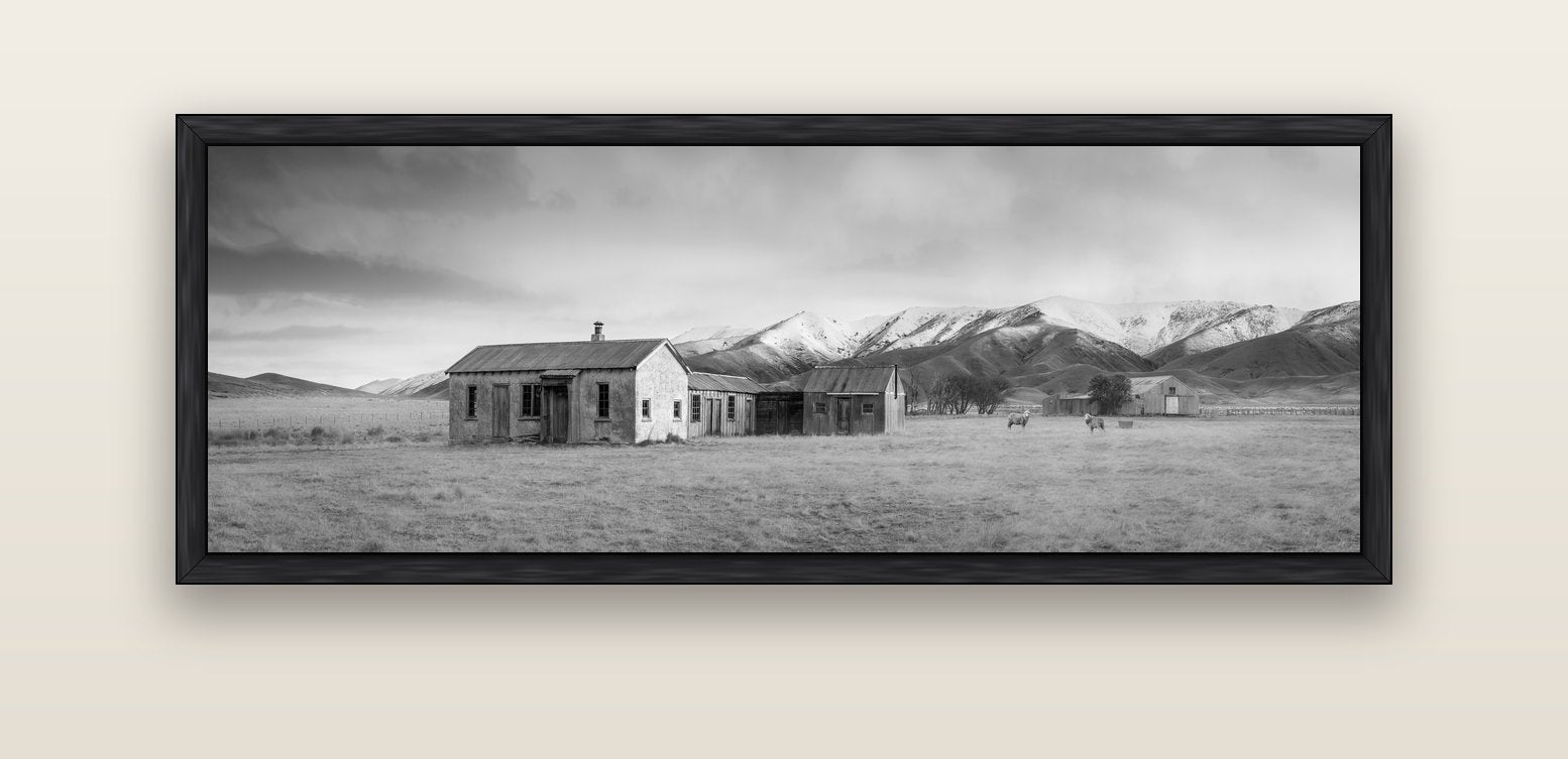 Resilience in Ruin, Echoes of a Forgotten Farm — black float frame canvas, 152 × 56 cm. New Zealand fine art landscape wall art by Stephen Milner.