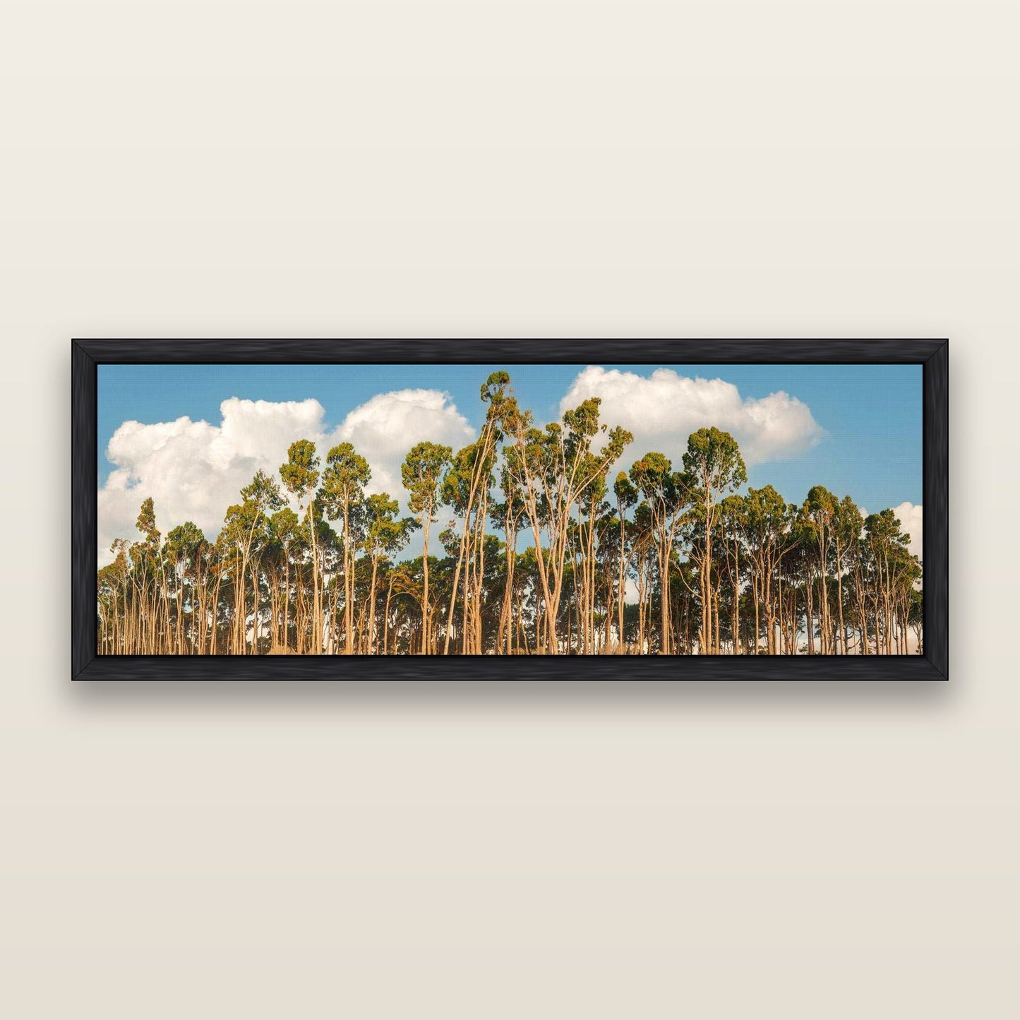 Rimu Reverie, Bruce Bay's Coastal Symphony — framed metallic canvas print, Black frame. New Zealand fine art landscape wall art by Stephen Milner.