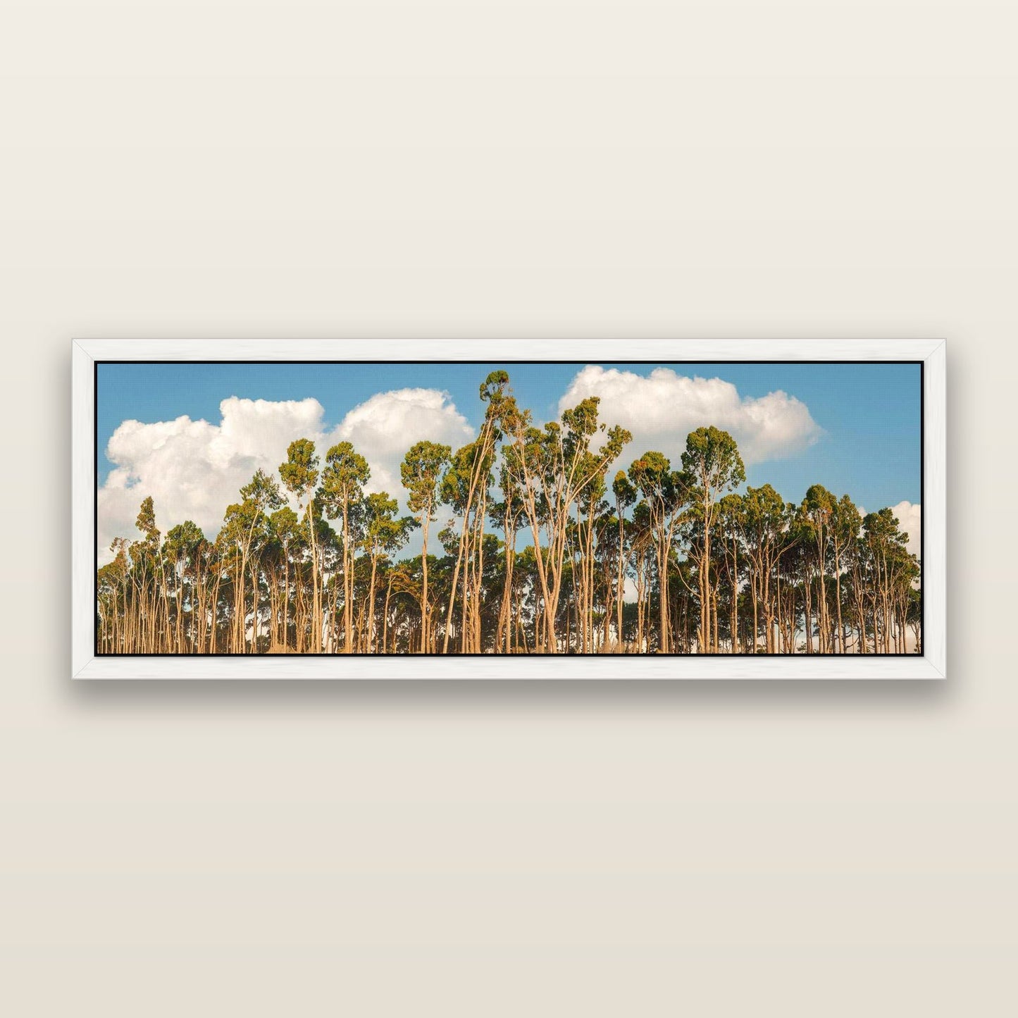 Rimu Reverie, Bruce Bay's Coastal Symphony — framed metallic canvas print, White frame. New Zealand fine art landscape wall art by Stephen Milner.