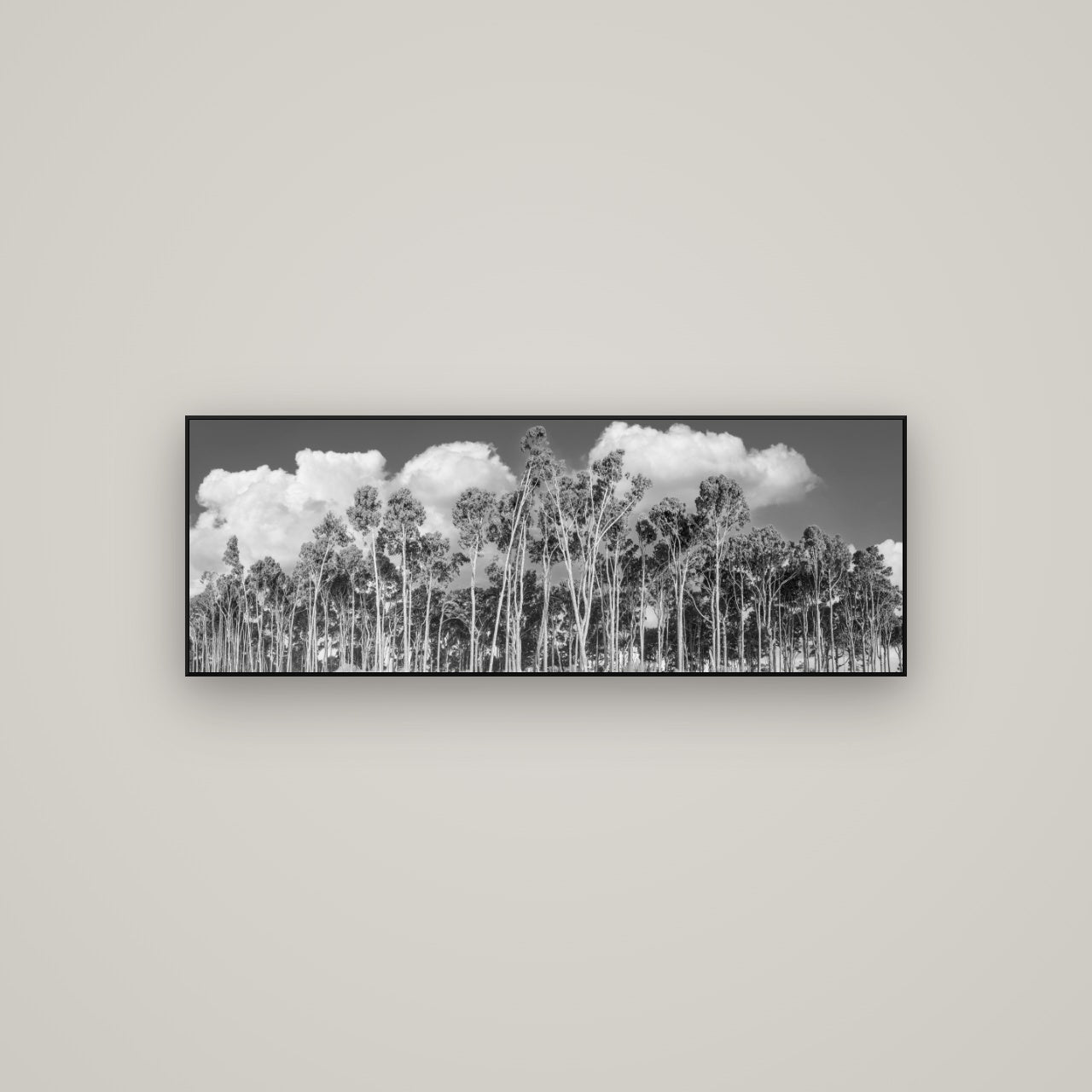 Rimu Reverie, Bruce Bay's Coastal Symphony — ArtBox Black, 113×40 cm. New Zealand fine art wall art by Stephen Milner.