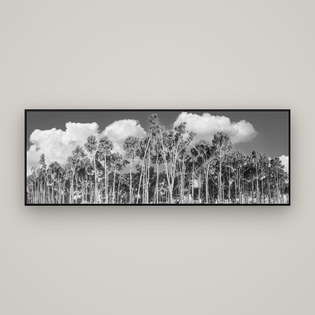 Rimu Reverie, Bruce Bay's Coastal Symphony — ArtBox Black, 170×60 cm. New Zealand fine art wall art by Stephen Milner.