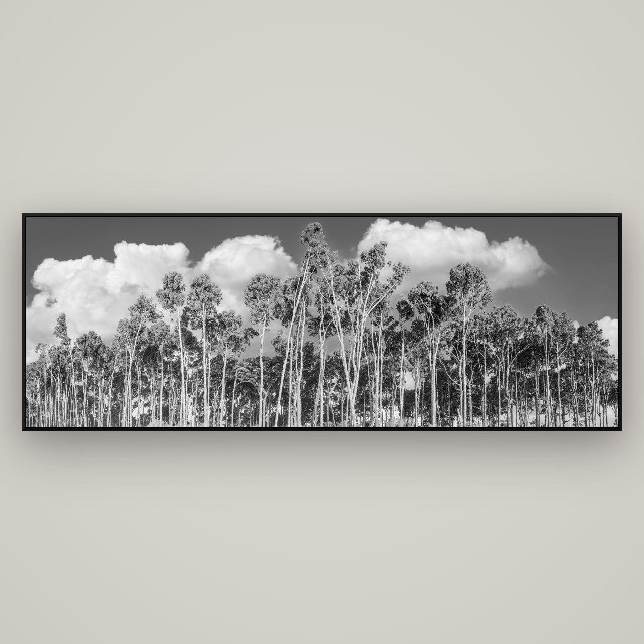 Rimu Reverie, Bruce Bay's Coastal Symphony — ArtBox Black, 198×70 cm. New Zealand fine art wall art by Stephen Milner.